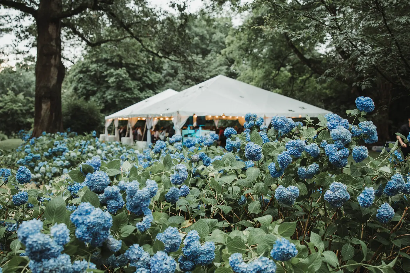 Garden Wedding Venues in CT