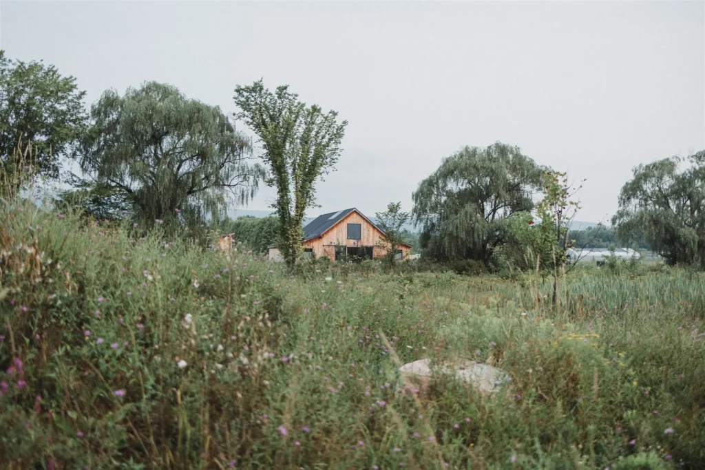 Gather Greene Wedding NY
